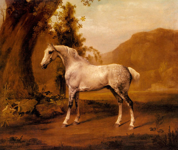 Stallion in a Landscape