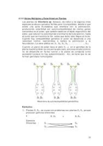 Estudios biométricos sobre estudios vegetales