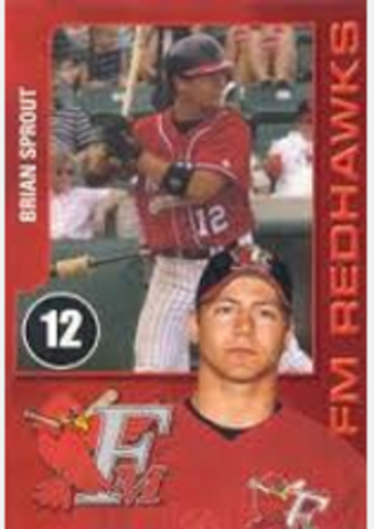 Lifelong professional dream: Door 1