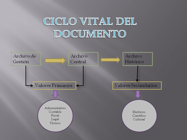 CICLO VITAL