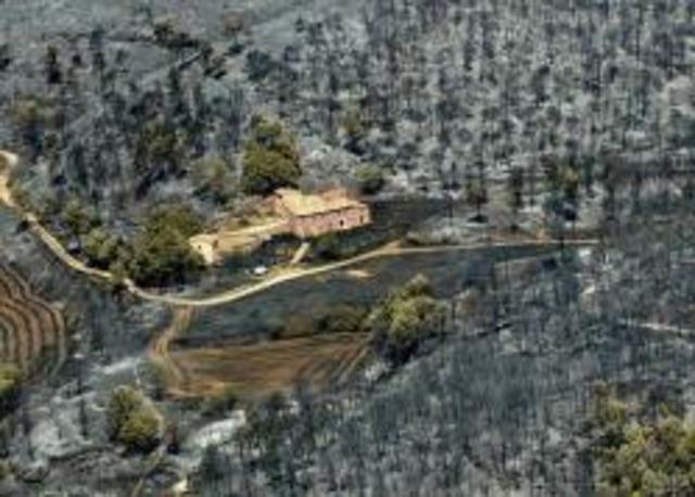 Ola de calor en Europa