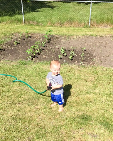 Gardening