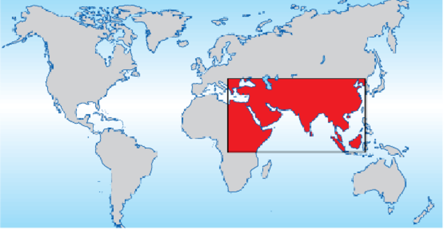 Crecimiento del mercado de bienes