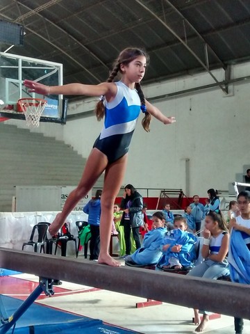 Gimnasia artística