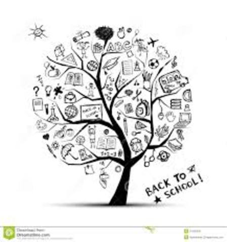 TEORIA DELA BUROCRACIA (WEBER) 1909