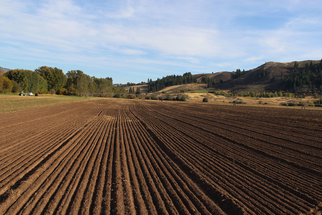 Farming Began to Spread