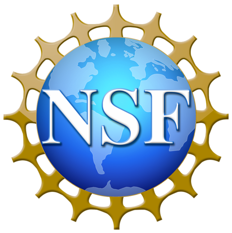 La National Science Foundation (NSF)