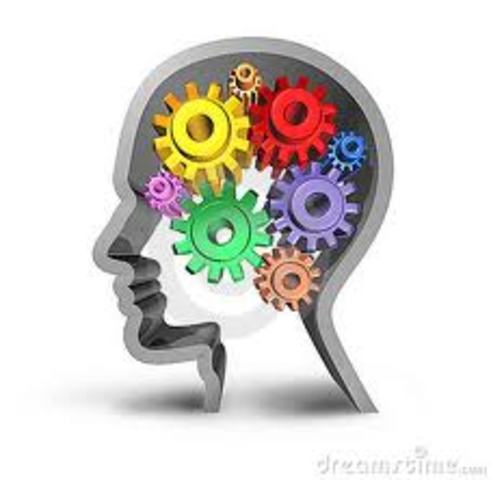 ACTIVIDAD INTELECTUAL