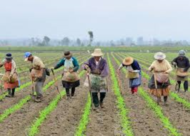 Reforma Agraria Colombiana