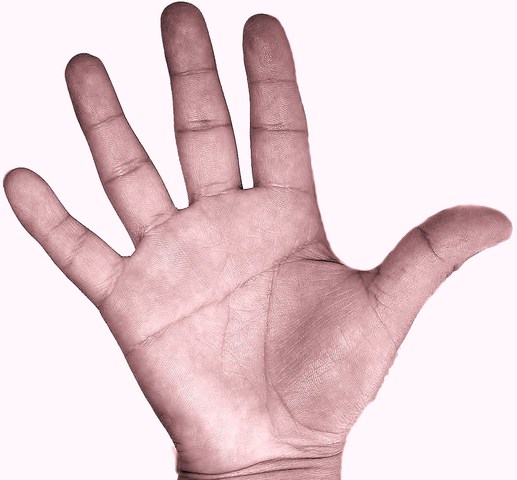 Método Manual de Registro