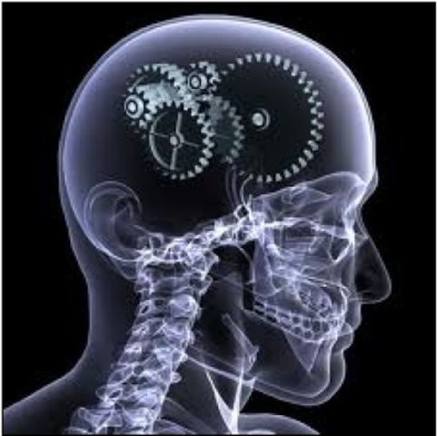 Tejedor y Aguirre 1998