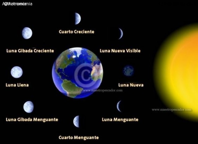 ¿que es el movimiento de translacion?