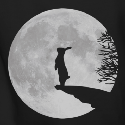 Leyenda del conejo en la luna parte  1