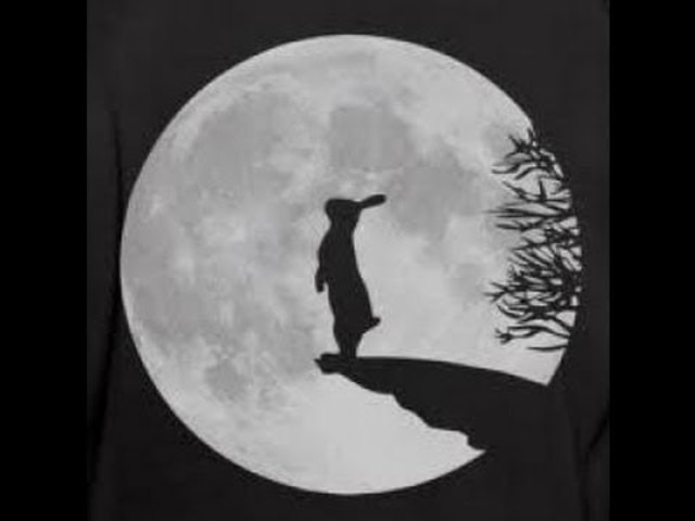 LA LUNA Y EL CONEJO
