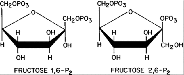 Hers y van Schaftingen