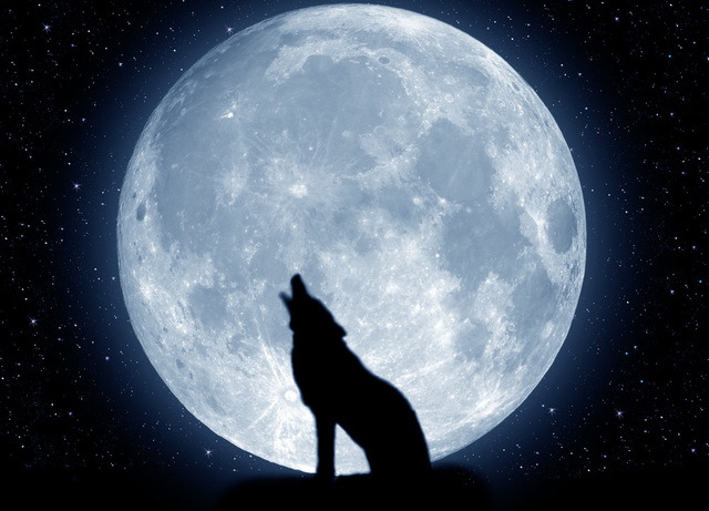 las faces de la luna 2