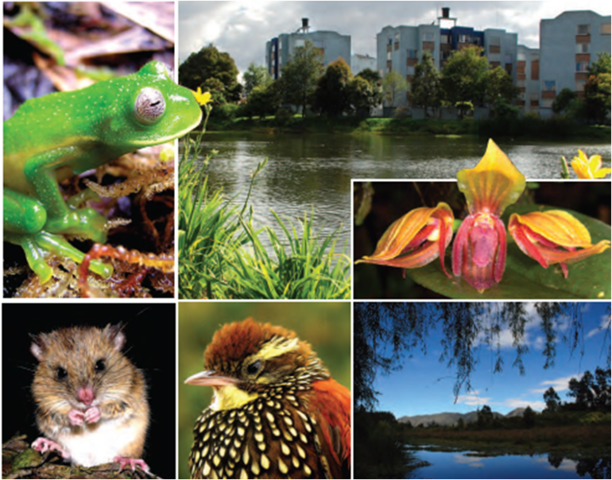 Biología de la conservación