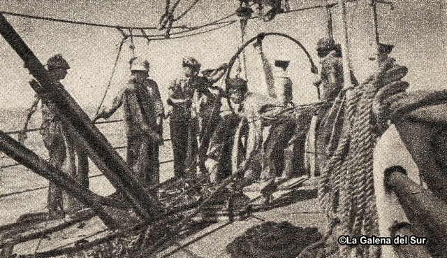 CABLE INTER OCEANICO