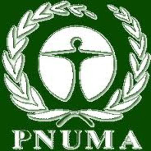 Programa de las Naciones Unidas para el Medio Ambiente (PNUMA)