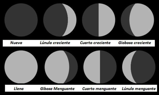 la luna en el cuarto creciente