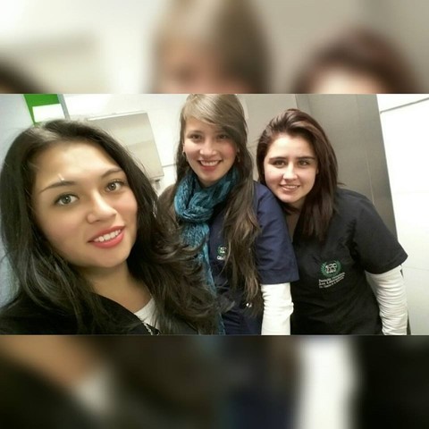 Ingreso a la universidad