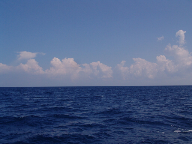 Mudanza a Playa del Carmen