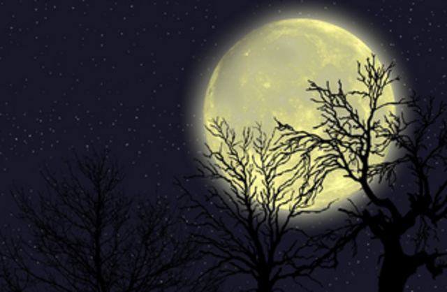 caracteristicas de la luna