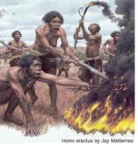 descubrimeinto del fuego