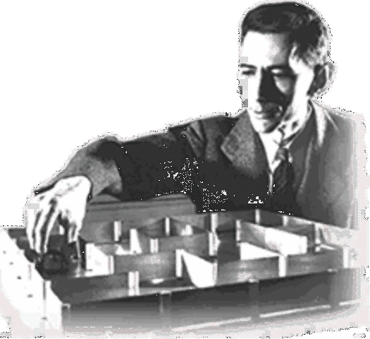 Teoría matemática de la comunicación