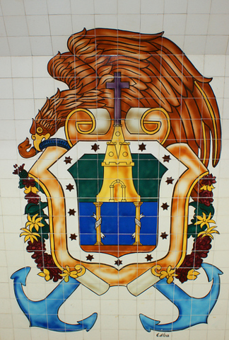 Estudio mi primera carreta profesional