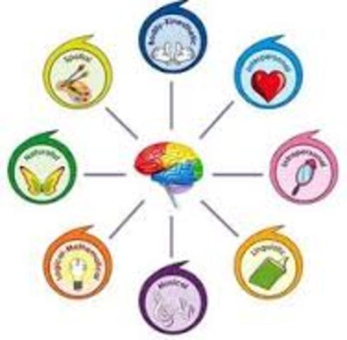 estudios primarios sobre al inteligencia