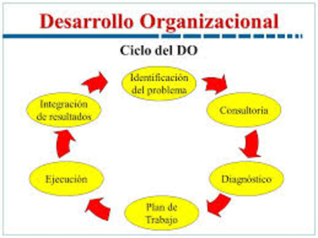 teoría del desarrollo organizaciónal