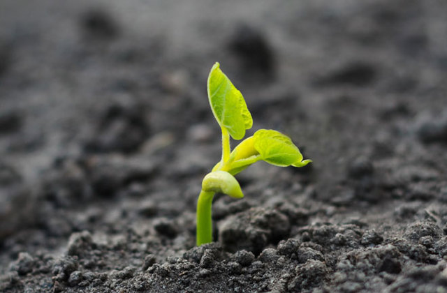 I was born in Englewood Hospital, New Jersey