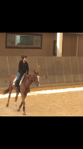 I started horseback riding