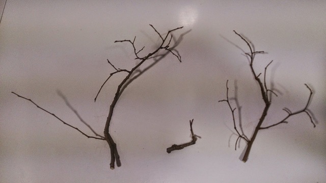 Metodo Manual de Registro