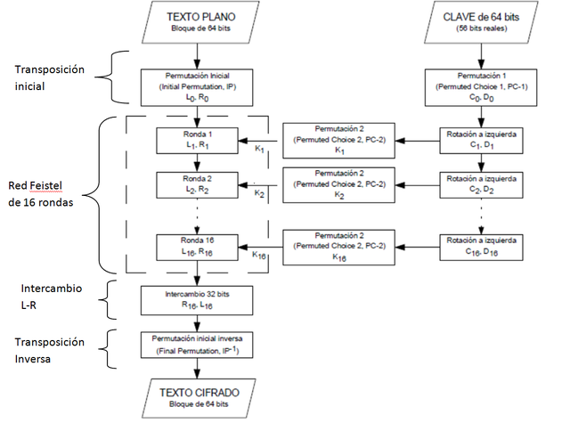 Primer Algoritmo procesado por una amquina