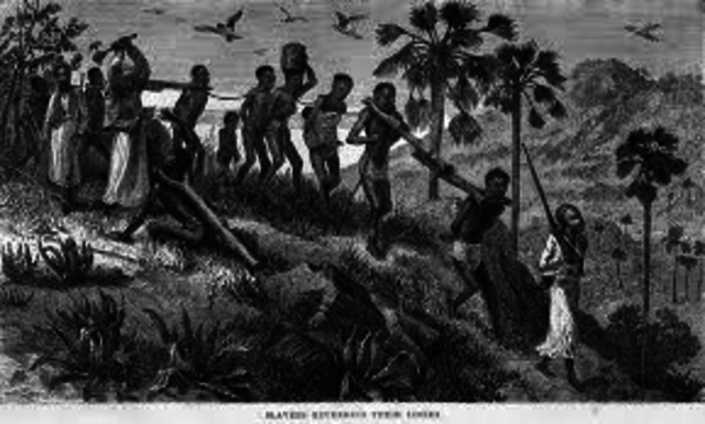 First Afircans brought to Jamestown