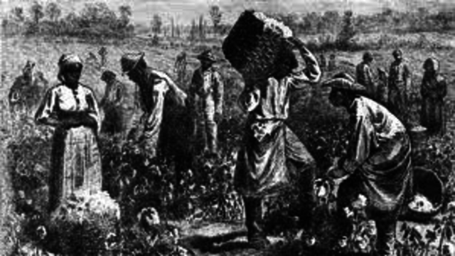 First africans brought to Jamestown