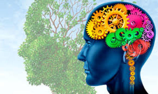 Nesta década as atividades dos psicólogos começam a se estender ao treinamento dos profissionais e também às investigações de fatores ambientais que afetavam a produtividade.