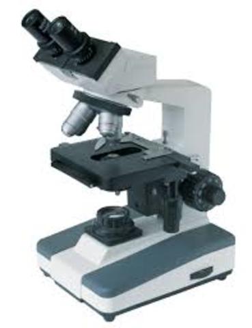 El origen químico de la vida 8