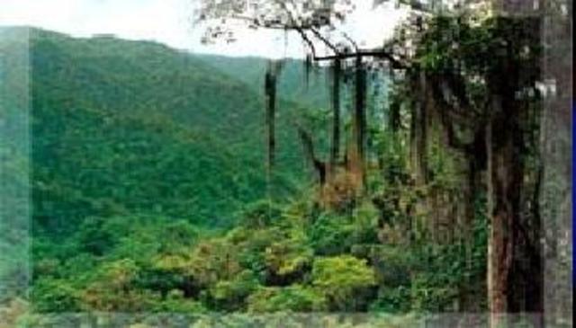 Doctorado en Ciencias con Orientación en Manejo de Recursos Naturales