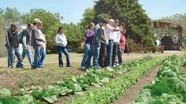 Doctorado en Ciencias Agrícolas