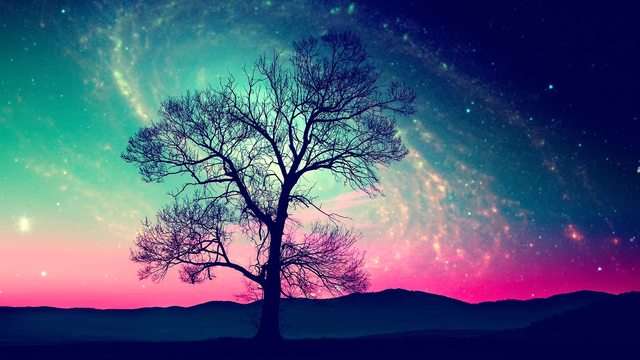 el comienzo del poker y cat