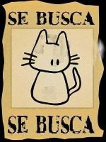 el dia que casi se va gato