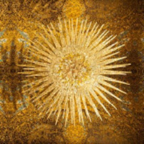 Modernity 21st century