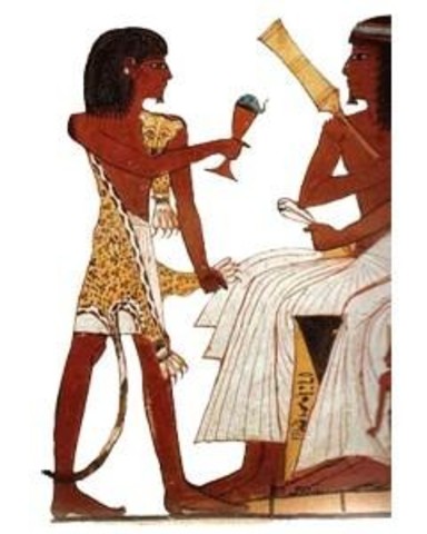 Proceso de fermentación: