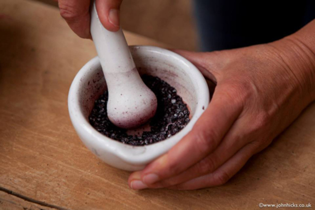 Cochinilla como colorante