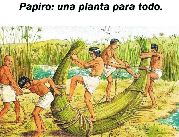 Utilización del papiro