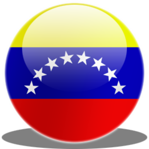 Misión de Facilitación - Venezuela (2002-2003)