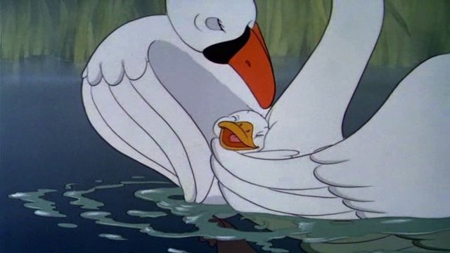 Primeros Cortometrajes